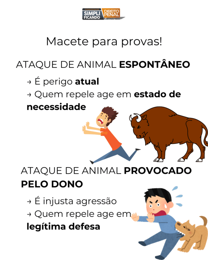 PENALNAPAREDE-COMPLETO8